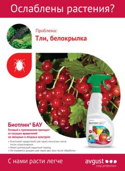 Биотлин БАУ ВР (Август), 700 мл - картинка 2