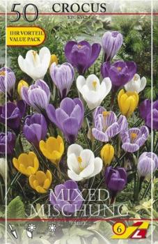 Крокус крупноцветковый смесь (Crocus vernus Mixed), 50 шт - картинка 1