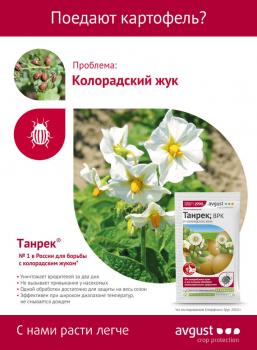 Танрек ВРК от колорадского жука (Август), 100 мл - картинка 1