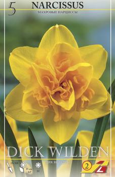 Нарцисс Дик Вилден (Dick Wilden), 5 шт (разбор 12/14) - картинка 5