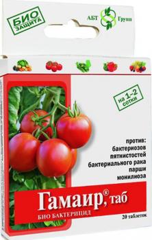 ГАМАИР, 20 таблеток - картинка 1