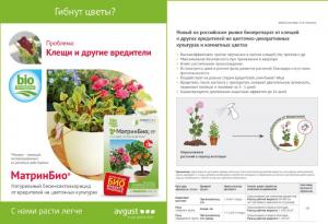 МатринБио для цветов от вредителей (Август), 9 мл - картинка 2