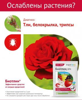 Биотлин ВРК (Август), 3 мл - картинка 1