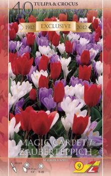 Тюльпан/ крокус Мэджик Карпет смесь (Magic Carpet), 40 шт - картинка 1