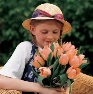 Тюльпан Эприкот Бьюти (Apricot Beauty), 10 шт (разбор 11/12) - картинка 1