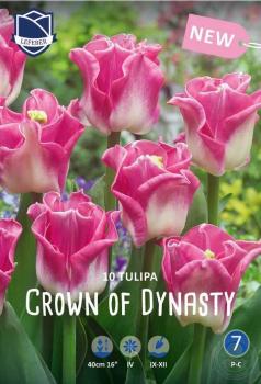 Тюльпан Кроун оф Династи (Crown of Dynasty), 10 шт (разбор 12/14) - картинка 2