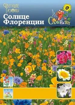 Газон цветущий Солнце флоренции - картинка 2