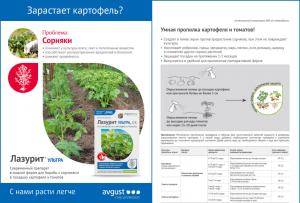 Лазурит Ультра СК от сорняков на картофеле и томатах (Август), 9 мл - картинка 2