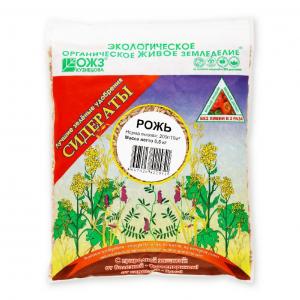 Рожь озимая (зеленое удобрение) семена 0,5 кг - картинка 1