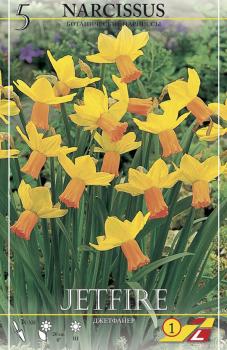 Нарцисс Джетфаер (Jetfire), 5 шт (разбор 12/14) - картинка 2