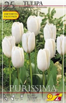 Тюльпан Пуриссима (Purissima), 25 шт (разбор 12/14!) - картинка 3