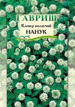 Клевер ползучий белый Нанук, 0.5 кг - картинка 1