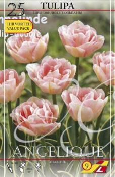 Тюльпан Анжелик (Angélique), 25 шт (разбор 11/12) - картинка 4