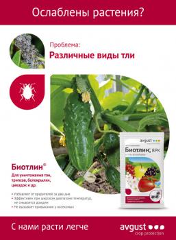 Чистоцвет® + Биотлин® Двойная защита! (Август), 10 мл + 9 мл - картинка 4