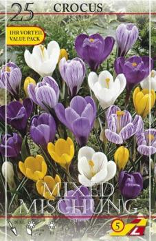 Крокус крупноцветковый смесь (Crocus vernus Mixed), 25 шт - картинка 2