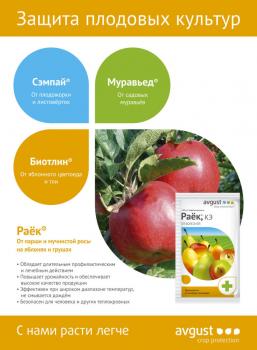 Раёк® + Биотлин® Двойная защита! (Август), 10 мл + 9 мл - картинка 4