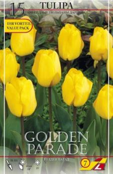 Тюльпан Голден Парад (Golden Parade), 15 шт (разбор 14/16!) - картинка 2