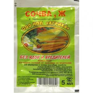 Сочва, 5 мл - картинка 1