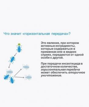 Адвион гель, от тараканов, 30 г (Сингента) - картинка 3