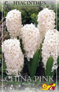 Гиацинт Чайна Пинк махровый (China Pink), 5 шт - картинка 2