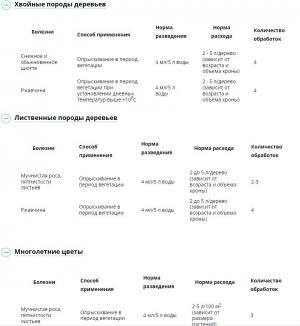 Ракурс (Август), 4 мл - картинка 1