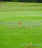 Газон травосмесь с микроклевером Гринмастер