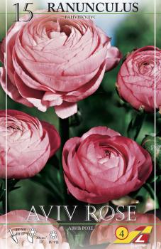 Ранункулюс Авив Роуз (Ranunculus Aviv Rose=Pink), 15 шт (разбор 7/8) - картинка 3