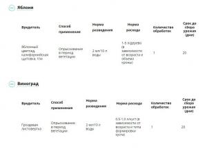 Батрайдер СК (Август), 10 мл - картинка 4